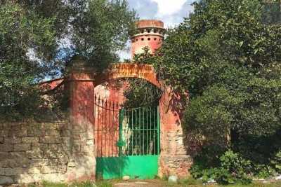 "Villa Starita": all'ombra del San Nicola quello che fu il primo circolo ippico pugliese